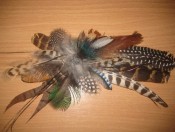 SADOFIK -  -   