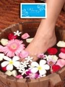 GIFT GENERATOR -  -   