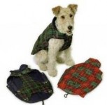 PET PAW -  -  