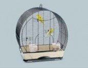 PET PAW -  -  