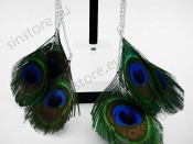   -  -  - Peacock Feathers 1125